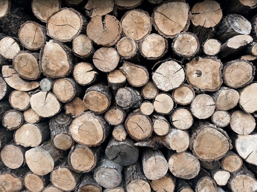 Rondin de Bois